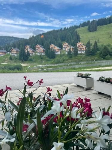 Hotel Koralpe - image 12