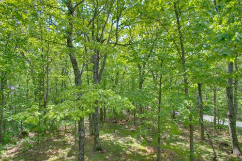 Wintergreen Resort Retreat with Hot Tub!