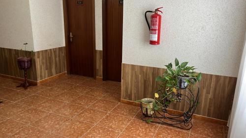  H. O CRISTO in Goiriz