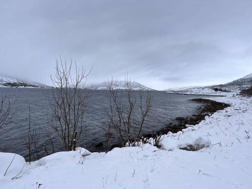 Sea & Sky Vestfjord Panorama