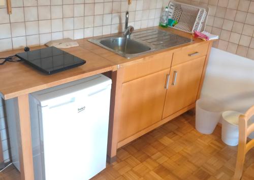Rooms and Apartment Na poljani in Skofja Loka