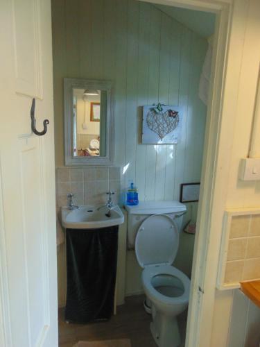 Romany Wagon & Cwtch with your own private 1 acer, Llandysul (fotografie 9)