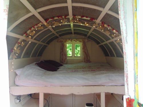 Romany Wagon & Cwtch with your own private 1 acer, Llandysul (fotografie 3)