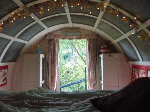 Romany Wagon & Cwtch with your own private 1 acer, Llandysul (fotografie 4)