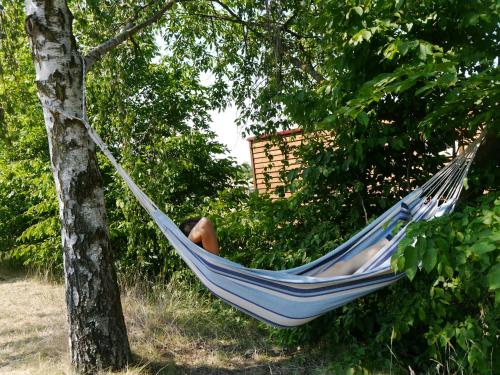 Ferienhaus mit Terrasse in der Uckermark