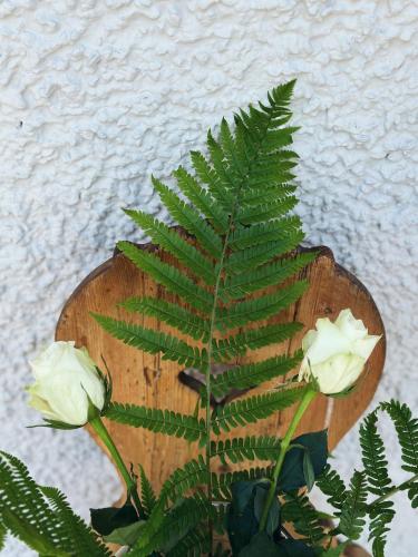 Abrahams Bayr Cottage Abrahams Bayr Cottage