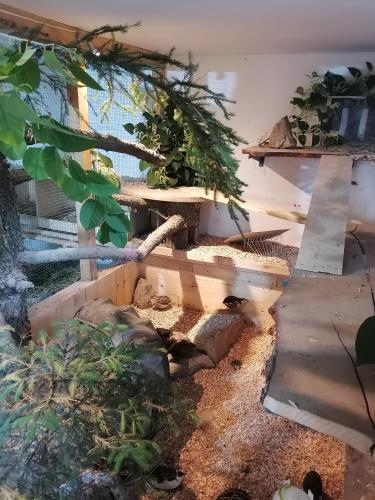 花園, Familienfreundlich Wohnen im Miriquitdi Erzgebirge in 約施塔特