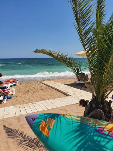 dez Green 103 - Location saisonnière - Mamaia Nord – Năvodari