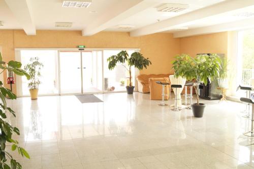Comfort Single Room