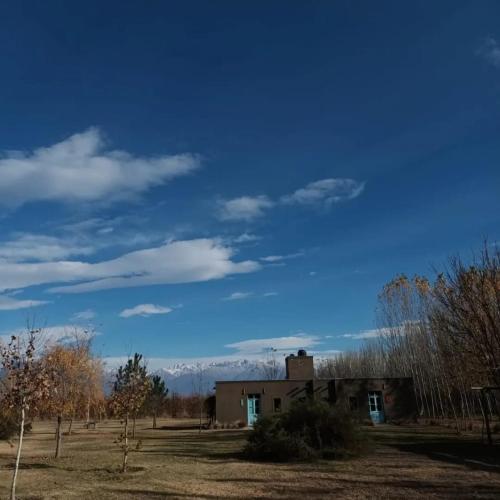 Finca La Clementina - Accommodation - Tunuyán