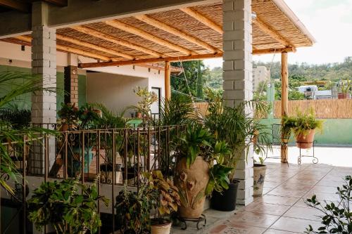 Sunshine House - Made by artists in Oaxaca