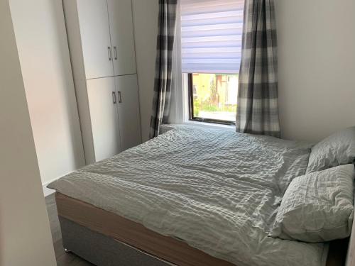 Bright en-suite room in Dublin