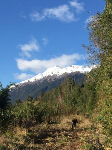 CABAÑAS RÜPÜ PUYUHUAPI