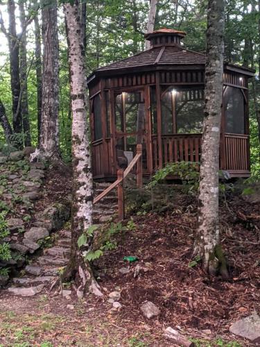 Pond Memories - National Parks Suite - Paddling Included!