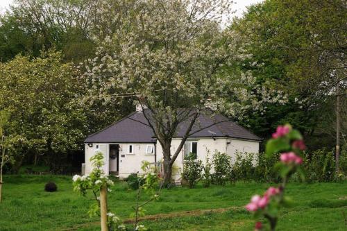 Magnolia Cottage - Kent