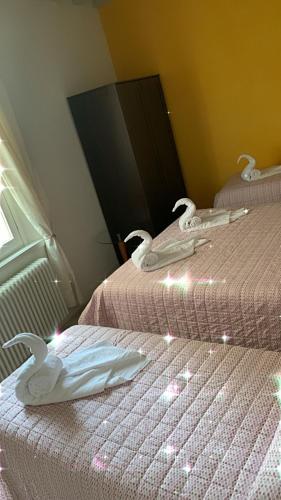 RUBY HOME Città Alta 4