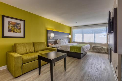 1 king bed, 1 sofa bed