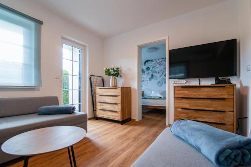 Общ салон/телевизионна зона, MIZU APARTMA VAS LIPA OLIMJE in Подчертек