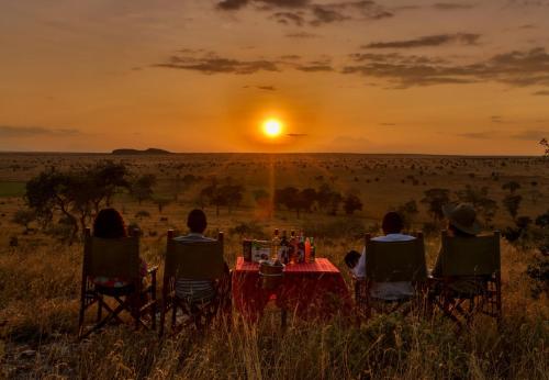 Salt Lick Safari Lodge