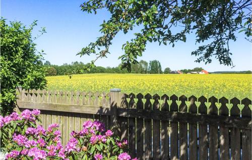 Awesome Home In Nysted With House A Panoramic View