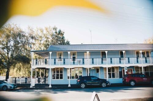 Wandering Trout - Mole Creek Brewery