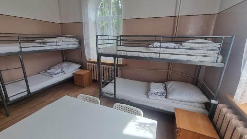 Bunk Bed in Mixed Dormitory Room