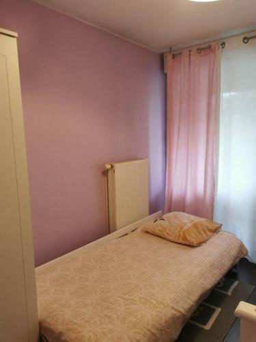 appartement cosy à 10 min du centre de Strasbourg, Strasbourg (photo 10)