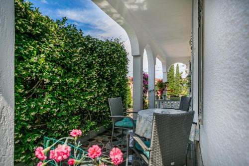 Apartment with Terrace image 6