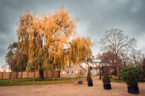 Rectory Farm