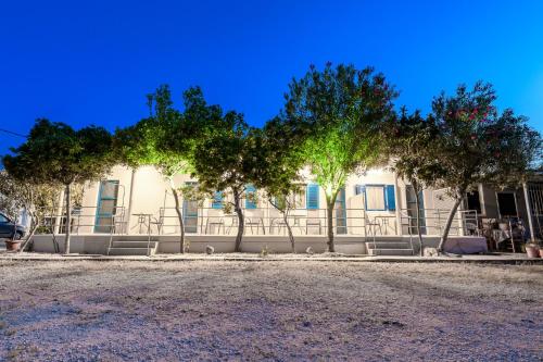 Zante Riva Studios - Λαγώποδο