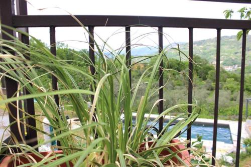 Farm Stay Herbarium in Santo Stefano Di Magra