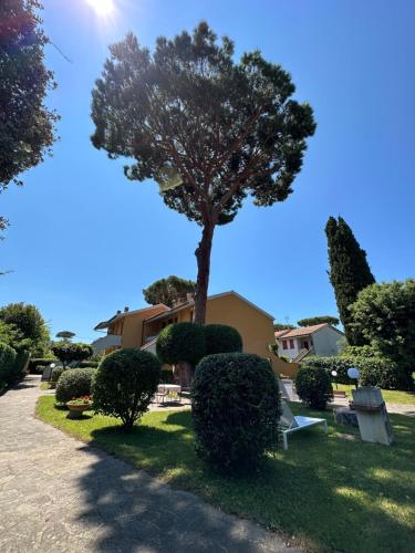  Appartamenti Portiglioni-Cipressi in Puntone di Scarlino