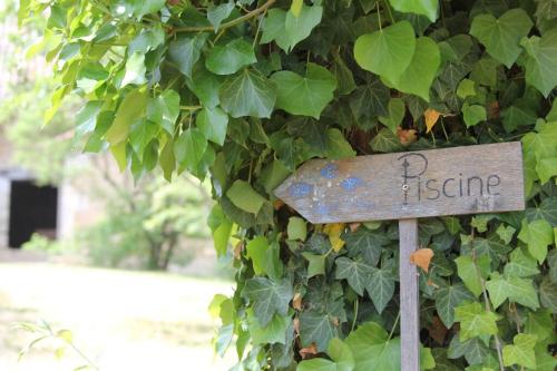 Ferme en pierre, site isolé avec piscine