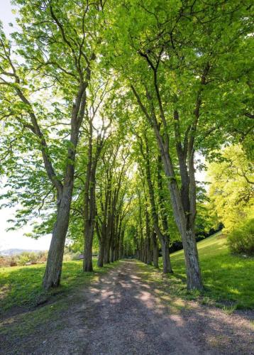 Apkārtne, Urlaub in Schlossnähe (Urlaub in Schlossnahe) in Artstetena