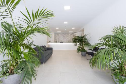 Dunas Hostel & Guesthouse – Alvor, AL