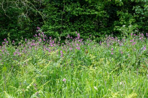 Three Tuns - image 13