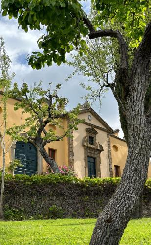 467267736 Il Falconiere Relais & Spa