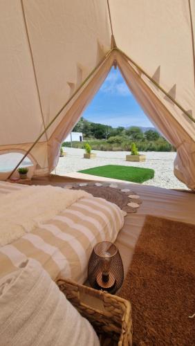 Ben Lettery Hostel Room Type - Tent