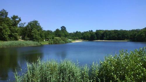 La Colline de Tilleul - Les Deux Puits - Cosy Cottage with swimming pool near Aubeterre