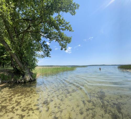 Giżycko-Przerwanki Domki Widok na Mazury