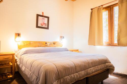 Sueno de Pehuenia in 라 안고스투라