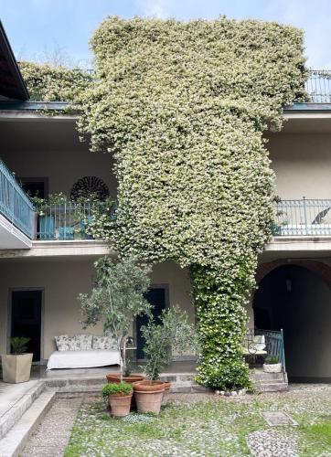 Lucio Fontana's experience - Apartment - Comabbio