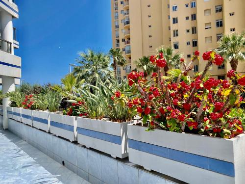 Calpe Hipocampo 25-A