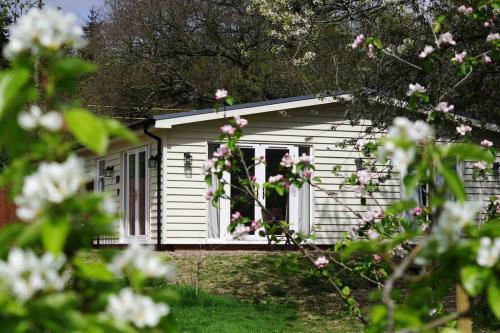 Orchard Cottage - Kent