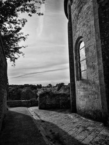 Les Nénuphars de la Chalette