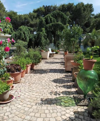  B & B Paradise in Melendugno