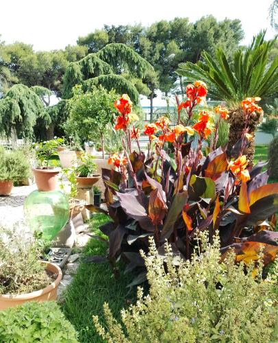  B & B Paradise in Melendugno