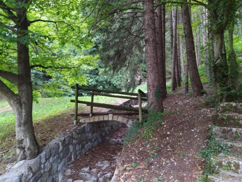 Arché Verzegnis - unità abitativa ammobiliata ad uso turistico (Arche Verzegnis - unita abitativa ammobiliata ad uso turistico) in Verzegnis