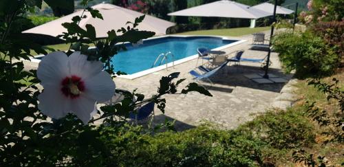 Case in campagna con piscina a Todi, Todi (photo 2)
