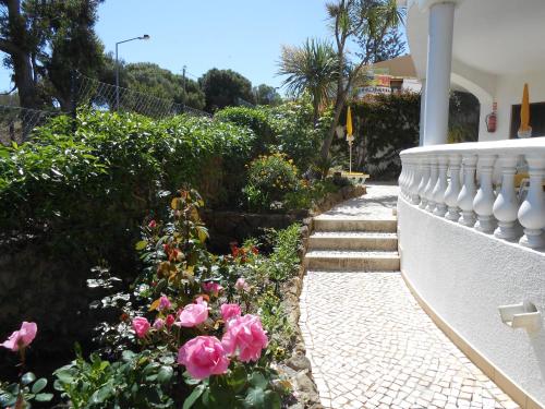 Сад, Dona Ana Garden in Лагос